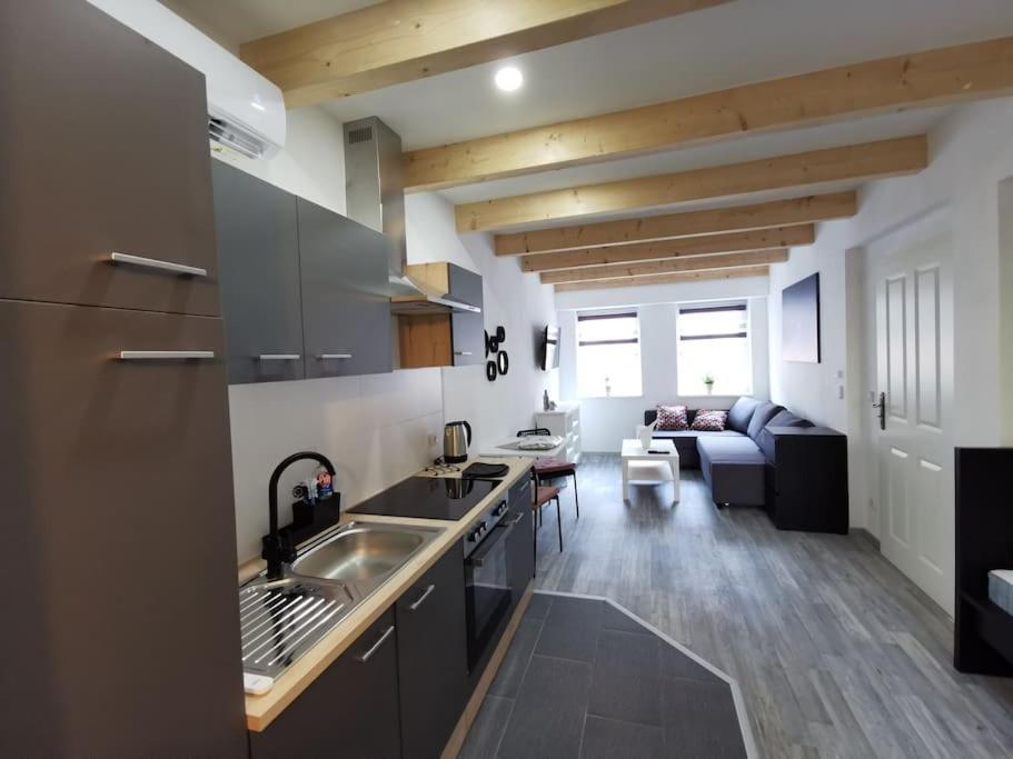 Altstadt-apartment & Og Fuer Max 3 Pers *